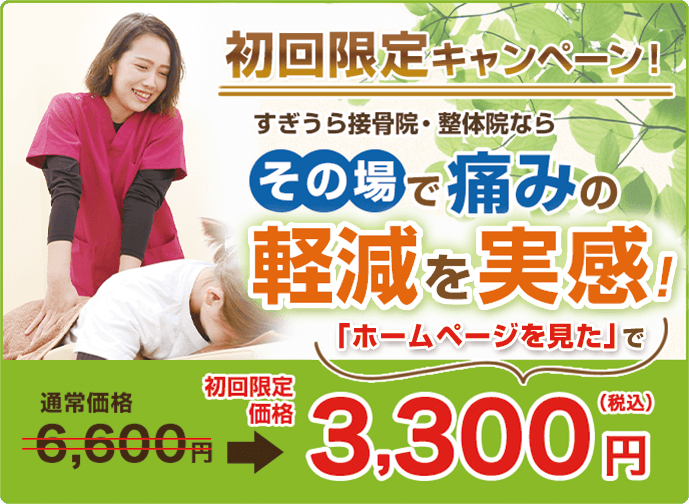 「ホームページを見た」で初回限定価格3300円